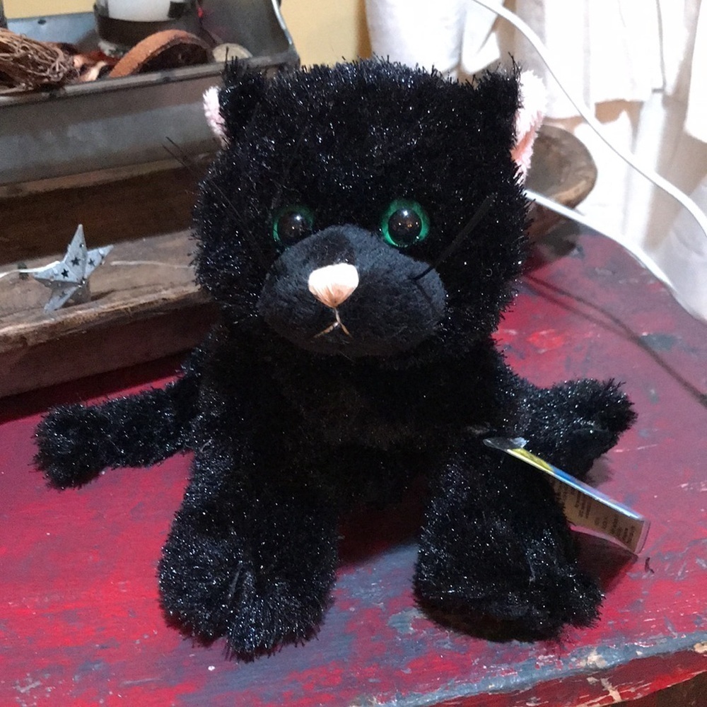 🐈⬛Webkinz Black Cat